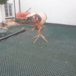 Bridgwater expert driveway installers